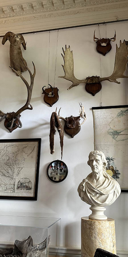Hunting trophies mounted on a wall alongside maps and a ladder.